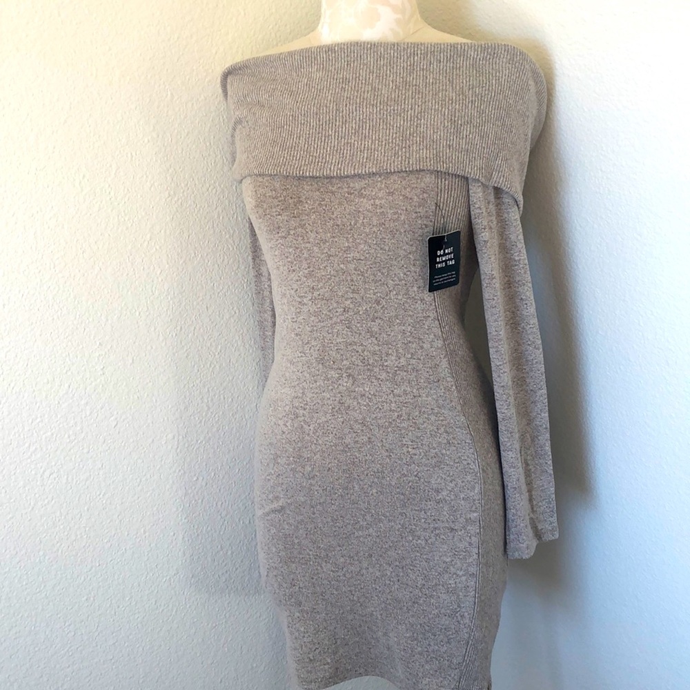 Express Cowl Neck Sweater Dress